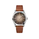 Seamaster Railmaster Ref. 235.12.38.20.13.001