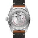 Seamaster Railmaster Ref. 235.12.38.20.13.001