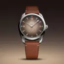 Seamaster Railmaster Ref. 235.12.38.20.13.001