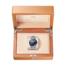 Omega Seamaster PLANET OCEAN 600M CO‑AXIAL MASTER CHRONOMETER Ref# 215.30.44.21.03.001