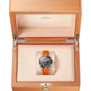 Seamaster Diver 300M 42 mm, steel on rubber strap Ref. 210.32.42.20.01.006