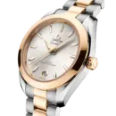 Seamaster Aqua Terra 150M 30 mm, steel ‑ Moonshine gold on steel ‑ Moonshine gold Ref. 220.20.30.20.02.001