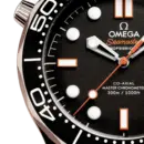 Seamaster Diver 300M 42 mm, steel on rubber strap Ref. 210.32.42.20.01.006