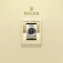 Rolex Oyster Perpetual 36 Ref. M126000-0014